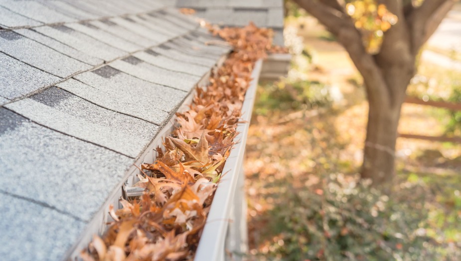 Gutter Cleaning